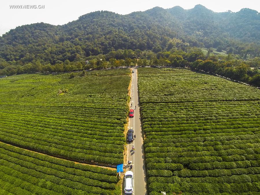 Paisaje de oto?o del Lago Oeste de Hangzhou