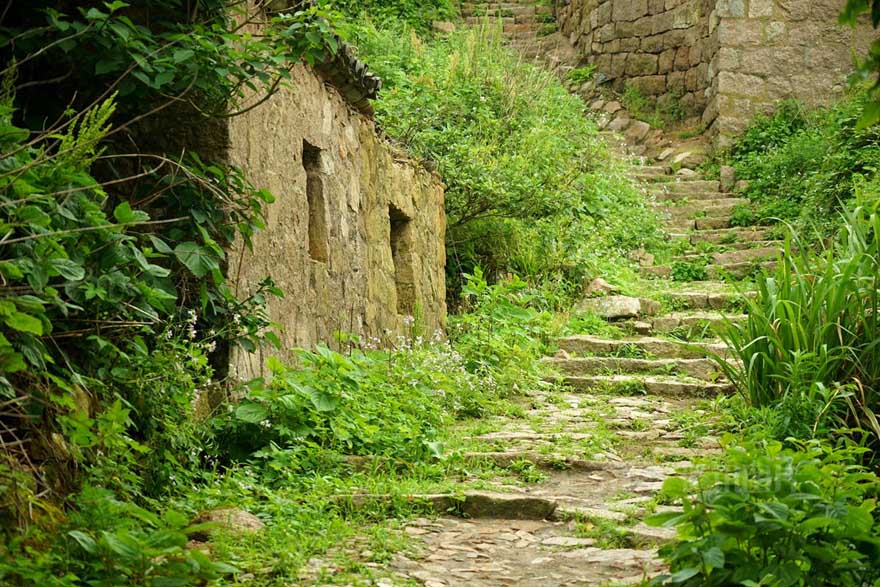 Pueblo abandonado es abrazado por la naturaleza