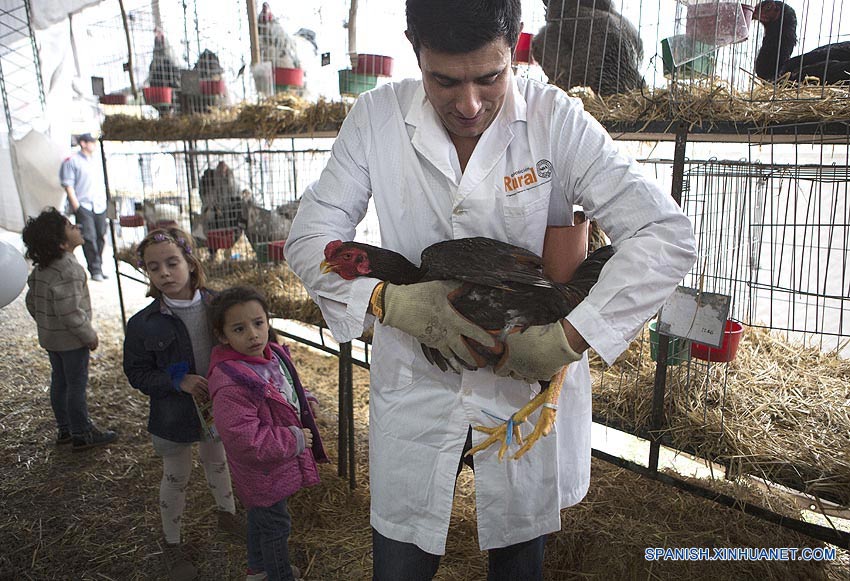 China, principal destino de exportaciones argentinas de carne 2