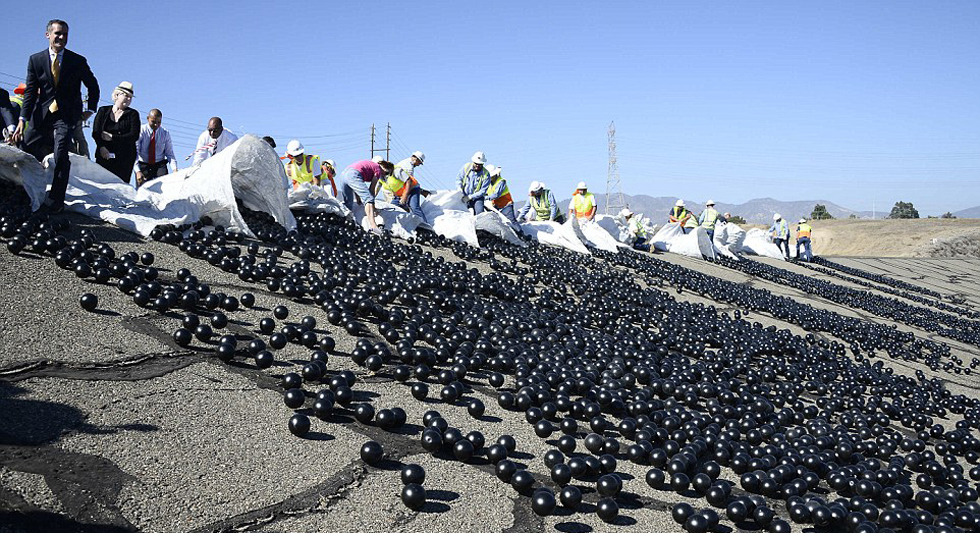 Los ángeles:Lanzan millones de pelotas para conservar el agua en los pantanos