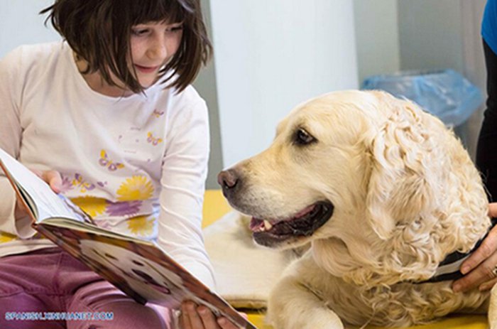 Eslovenia: leer con perros
