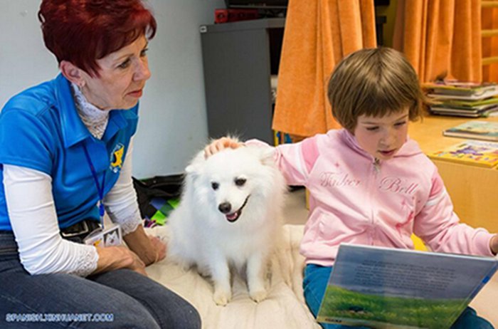 Eslovenia: leer con perros 2