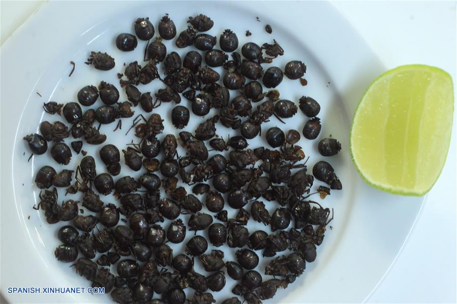  Imagen del 31 de marzo de 2017, de insectos servidos como platillo en un restaurante en el Mercado de San Juan en la Ciudad de México, capital de México. De acuerdo con información de la prensa local, en el Mercado de San Juan, ubicado en el centro de la Ciudad de México, se sirven platillos preparados con tarántulas, escorpiones y más insectos. Los insectos, ricos en proteínas, formaban una parte importante de la dieta de los pobladores prehispánicos de México. (Xinhua/Str)