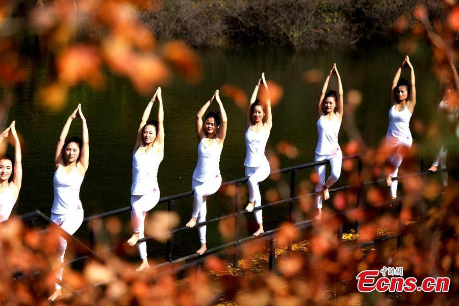 Practicantes de yoga se fusionan con el oto?o chino