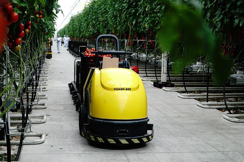 Peque?os vehículos de transporte no tripulados a prueba en la periferia de Beijing durante una cosecha de productos agrícolas. Por He Yong, Diario del Pueblo