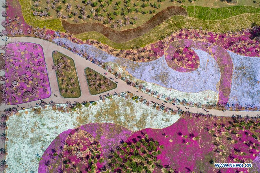 Paisajes de flores en la provincia de Shandong