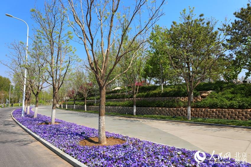 Se presenta al público el Parque de Exposiciones de Beijing