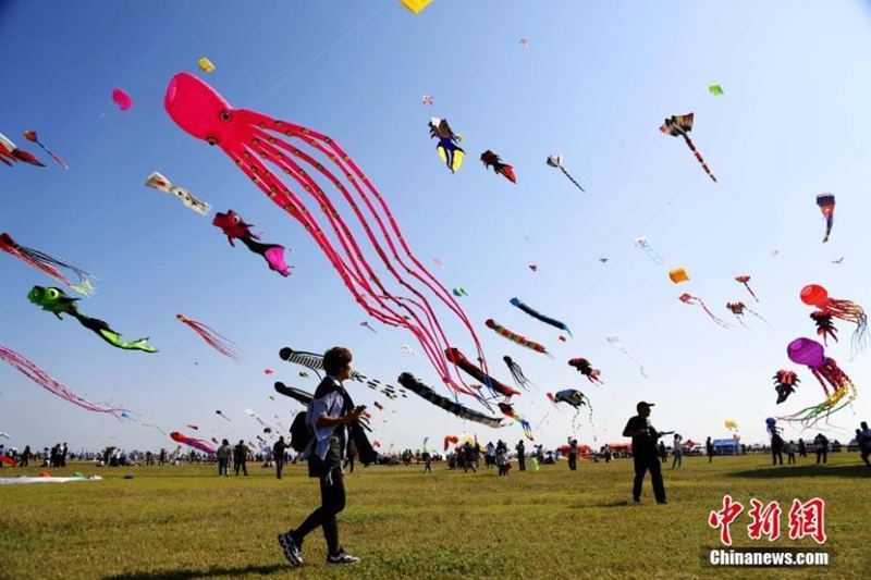 (Foto: China News Service / Sha Jianlong)