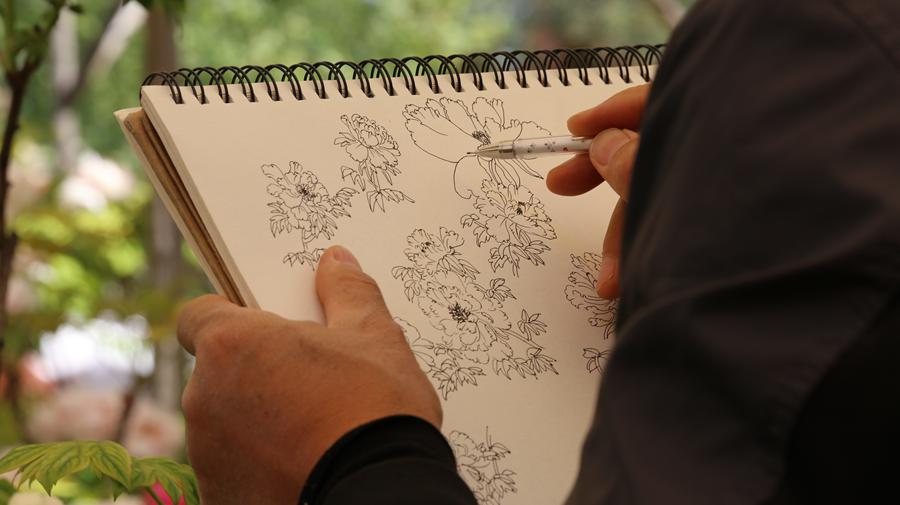 Debido a ser capital imperial durante 13 dinastías, hoy Luoyang exhibe las mejores peonías del país. 