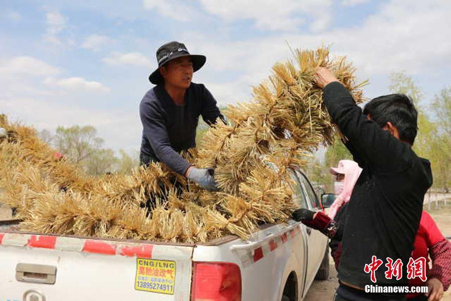 Nueva tecnología china para mejorar el control de la desertificación