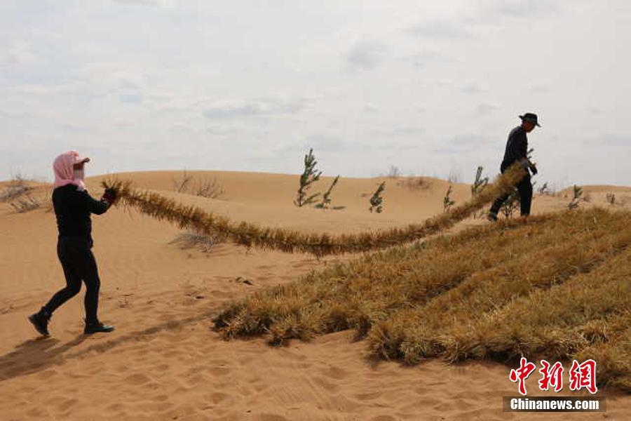 Nueva tecnología china para mejorar el control de la desertificación