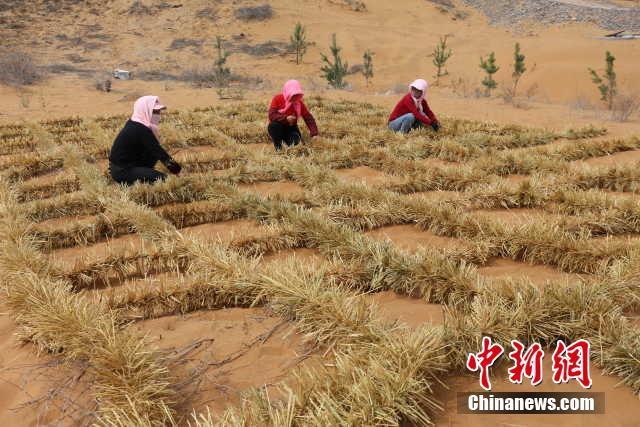 Nueva tecnología china para mejorar el control de la desertificación