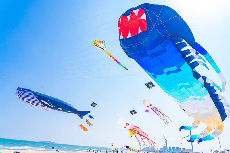 Las cometas vuelan en el cielo durante un festival de cometas en Weihai, provincia de Shandong, en el este de China. [Proporcionado a chinadaily.com.cn]
