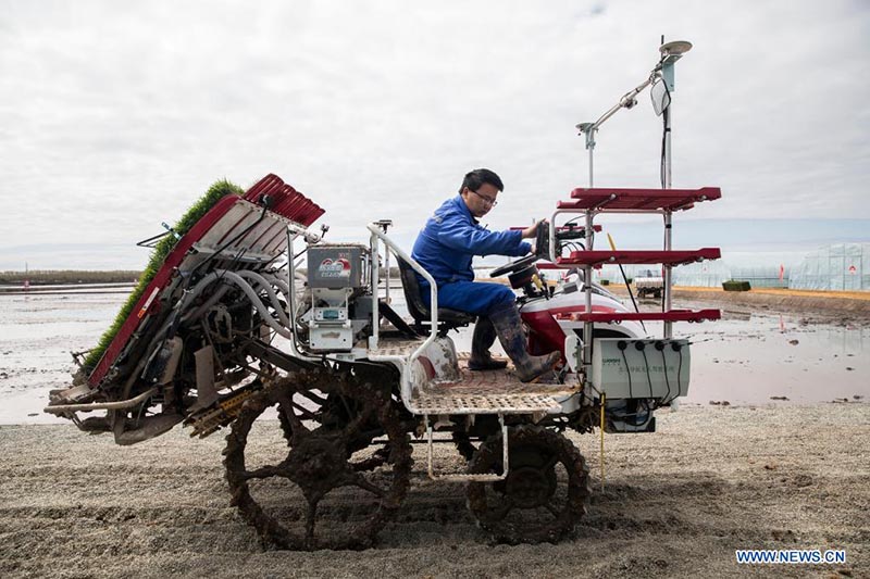 Sistema de Navegación por Satélite ayuda a desarrollar la agricultura inteligente en China