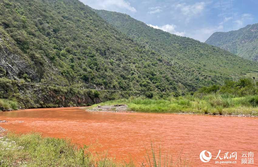 Descubren nueva colonia en Yunnan de una especie rara de hierba endémica