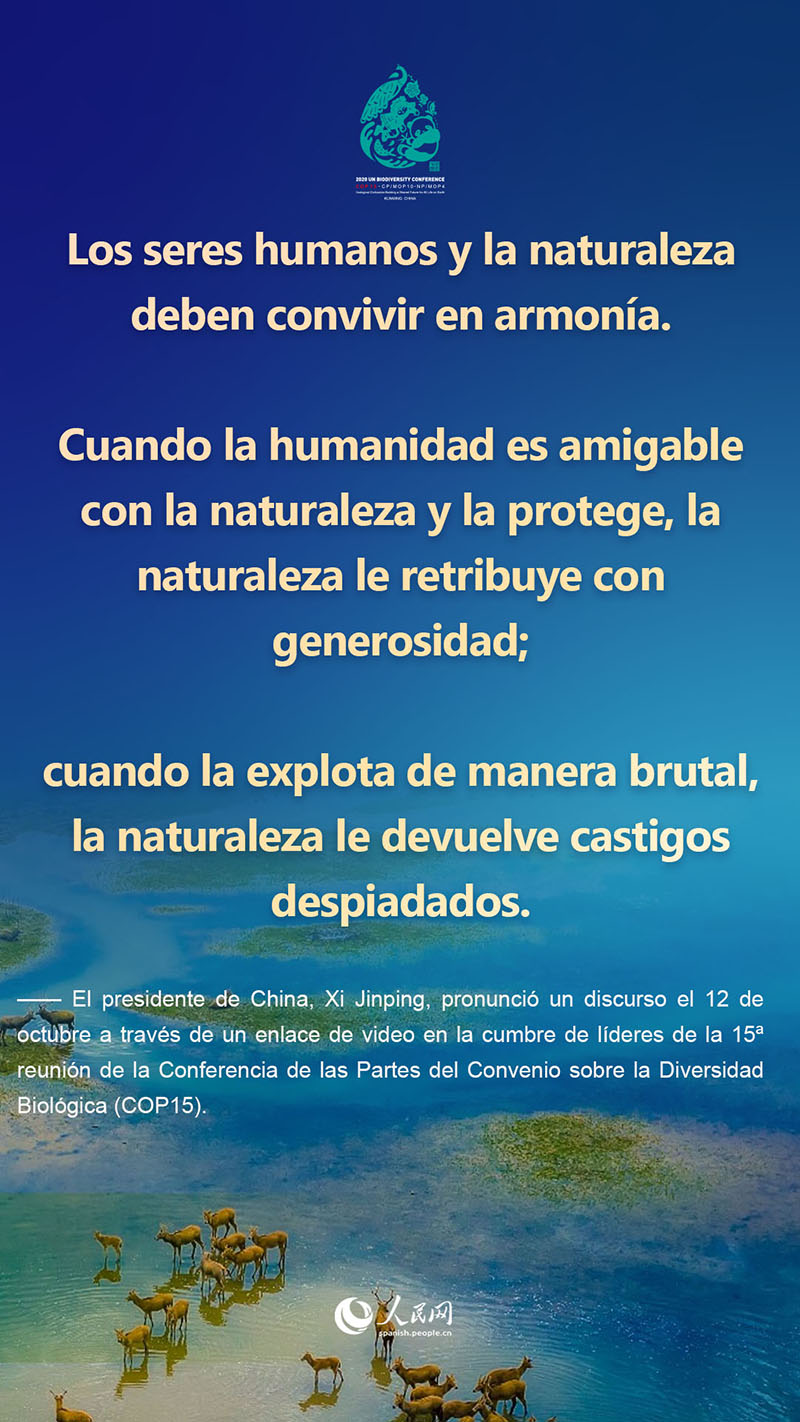 Lo más destacado del discurso del presidente Xi Jinping en la cumbre de líderes de la COP15