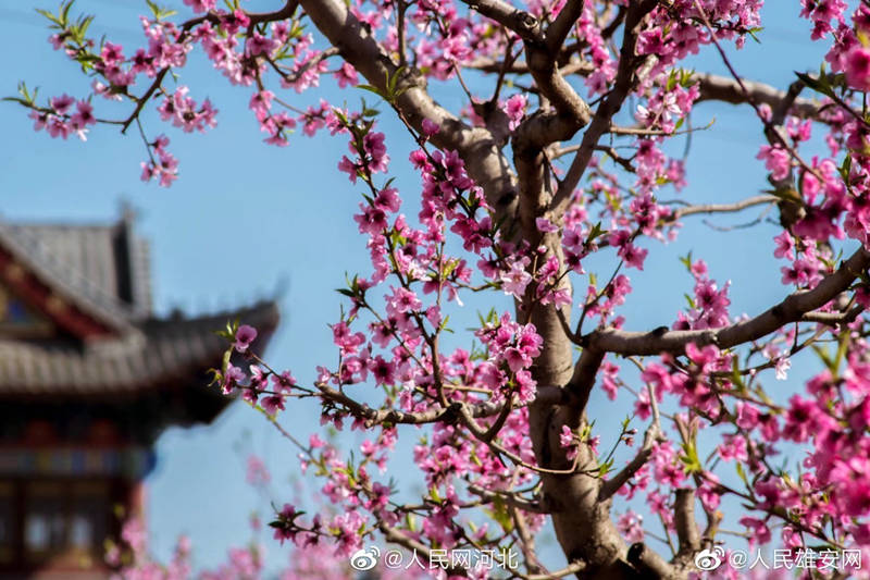 China Post celebrará una ceremonia de emisión de sellos conmemorativos con motivo del