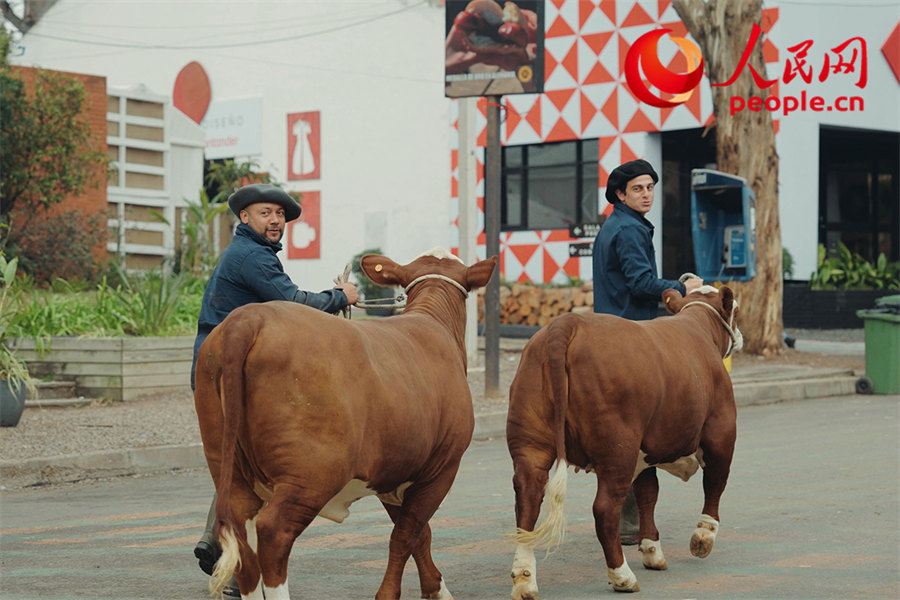 Belleza en la Ruta de la Seda｜Montevideo, Uruguay: entre lo clásico y la modernidad
