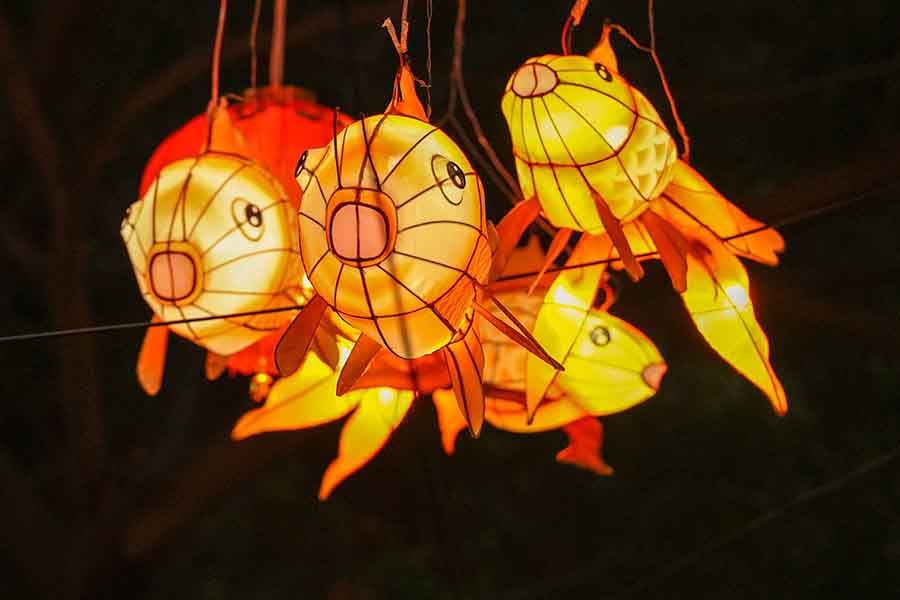 Xiamen: el sabor del A?o Nuevo es cada vez más intenso