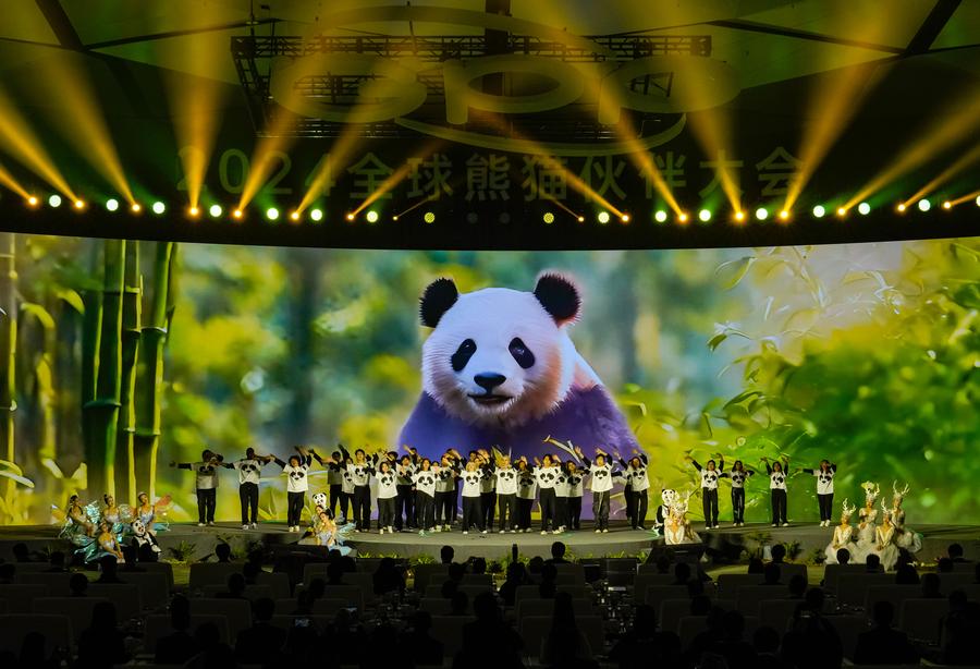 Artistas ponen en escena un coro durante la conferencia Global Panda Partners 2024, en Chengdu, en la provincia de Sichuan, en el suroeste de China, el 26 de noviembre de 2024. (Xinhua/Shen Bohan) 