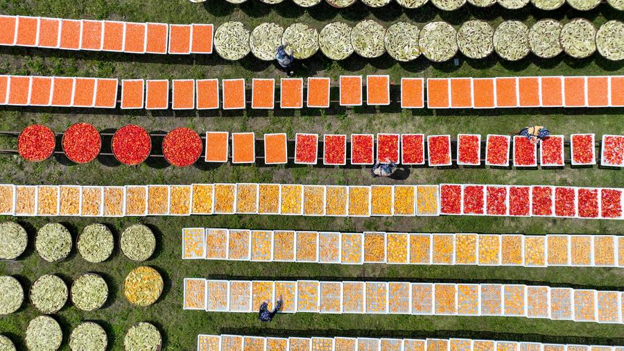 Vista aérea tomada con un dron el 26 de agosto de 2024 de aldeanos secando productos agrícolas, en la aldea Lutian del distrito de Tonggu, en la ciudad de Yichun, en la provincia de Jiangxi, en el este de China. (Xinhua/Zhou Liang) 