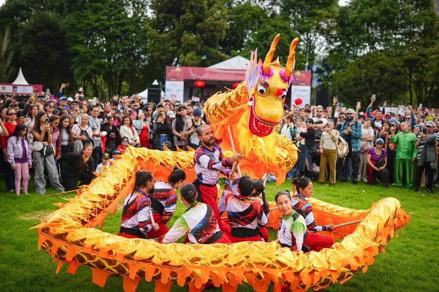 Artistas realizan una presentación de la danza del dragón durante un evento cultural para celebrar el A?o Nuevo Lunar chino o Fiesta de la Primavera, en Bogotá, Colombia, el 26 de enero de 2025. (Xinhua/Andrés Moreno)