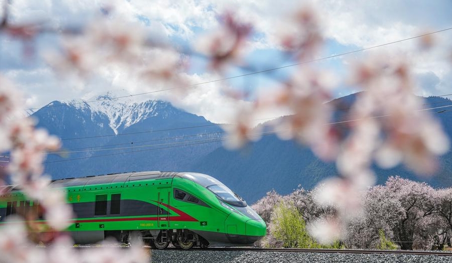Un tren de alta velocidad Fuxing circula por la sección Nyingchi de la línea ferroviaria Lhasa-Nyingchi, en la región autónoma de Xizang, en el suroeste de China, el 2 de abril de 2025. (Xinhua/Tenzin Nyida)