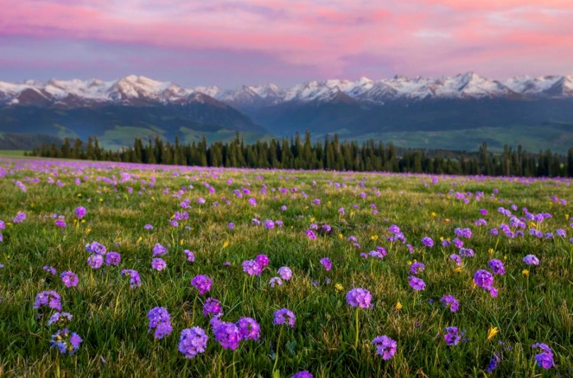 Esta foto del 14 de mayo de 2024 muestra una vista del distrito de Tekes de la prefectura autónoma kazaja de Ili, ubicada en la región autónoma uygur de Xinjiang, en el noroeste de China. (Xinhua/Lai Yuning)