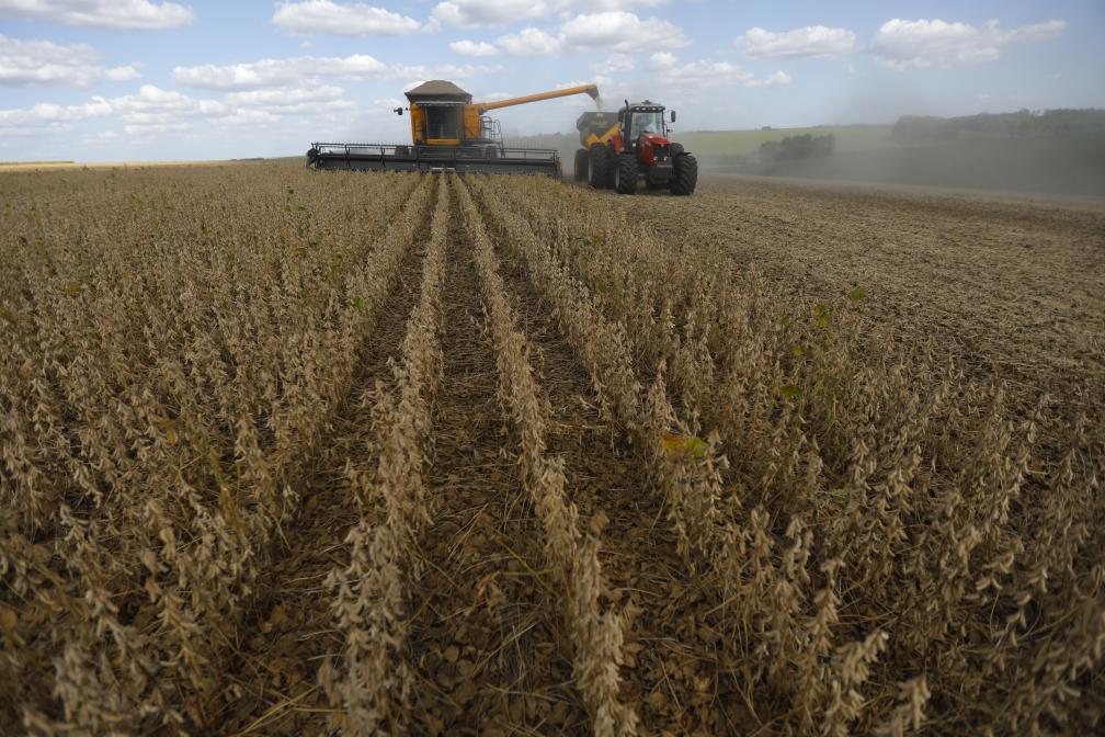 Tractores cosechan soya en un campo de soya en Fazenda Carmo, en Passo Fundo, estado de Río Grande do Sul, Brasil, el 5 de marzo de 2020. Brasil se ha posicionado como el principal proveedor del mercado chino en productos clave como soya, carne bovina, celulosa, algodón en bruto, azúcar y carne de ave, según la Agencia Brasile?a de Promoción de Exportaciones e Inversiones (ApexBrasil). (Xinhua/Lucio Tavora) 