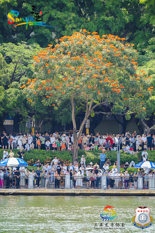 Un Festival del Bote del Dragón lleno de belleza natural en Sanya
