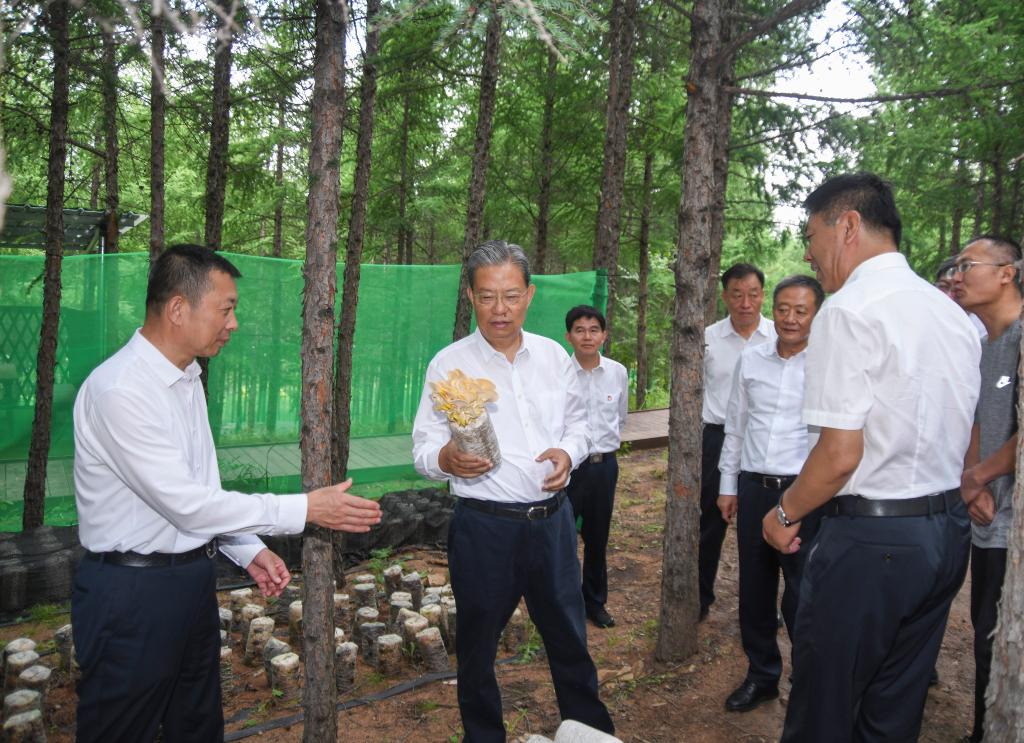 Máximo legislador de China pide a asambleas populares impulsar desarrollo y reforma