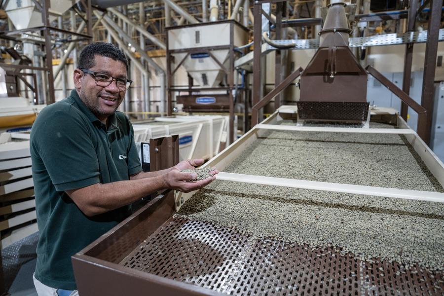 Imagen del 26 de agosto de 2025 de un trabajador mostrando granos de café después de la selección en un colectivo de caficultores, en una región productora de café conocida como el Cerrado Mineiro, en el estado de Minas Gerais, Brasil. (Xinhua/Wang Tiancong)